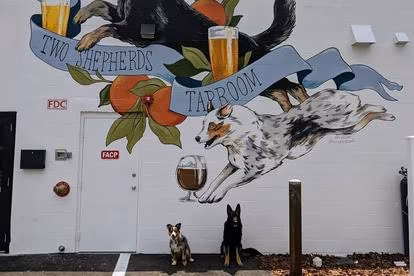 Dog parks in Tampa, Florida, Florida